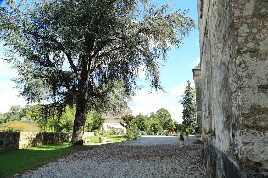 Chateau De Courtebotte Saint-Jean-de-Blaignac Exterior photo